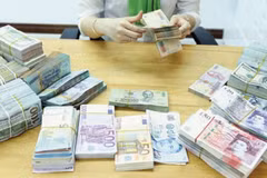 越南侨汇收入形势喜人