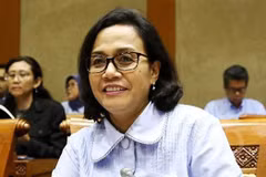 印尼财政部长：越南在新冠肺炎疫情中维持了经济增长