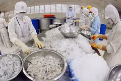 坚江省着力巩固传统市场 开拓潜在市场 