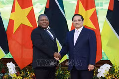 越南政府总理范明政与莫桑比克共和国总统菲利佩·纽西。图自越通社
