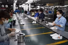 鞋类是越南出口到秘鲁的主要商品之一。图自越通社