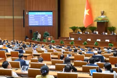 国会表决通过《公共投资法（修正案）》。图自越通社