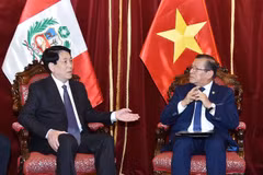 越南国家主席梁强会见秘鲁国会主席爱德华多·萨卢安纳。图自越通社