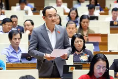 海阳省国会代表阮玉山在会议上发言。图自越通社