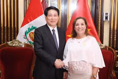 越南国家主席梁强与秘鲁总统迪娜·埃尔西利娅·博鲁阿尔特·塞加拉。图自越通社