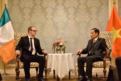 越共中央对外部部长黎怀忠会见爱尔兰共产党负责外事工作中央书记处书记。图自越通社