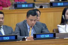 越南常驻联合国代表团团长邓黄江。图自越通社