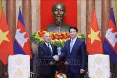 越南国家主席梁强和柬埔寨国王诺罗敦·西哈莫尼。图自越通社