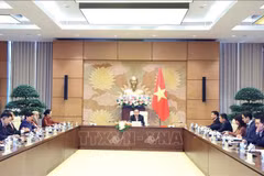 国会主席陈青敏会见东盟各国和东帝汶驻越大使和临时代办。图自越通社