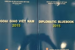 2015年越南外交蓝皮书