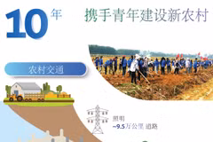 图表新闻：携手青年建设新农村
