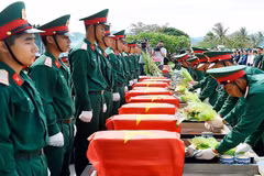 附图。图自baochinhphu.vn
