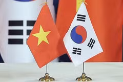 附图（图片来源：因特网）