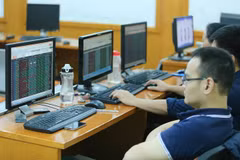 附图。（图片来源：越通社）