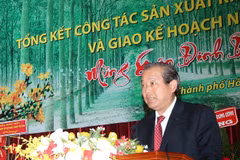 越南政府常务副总理张在会议上发表讲话（图片来源：​baochinhphu.vn）
