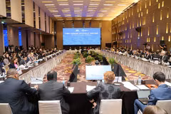 2017年亚太经合组织(APEC)第一次高官会场景。（图片来源：越通社）