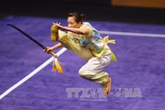 越南武术名将杨翠微。