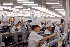 附图（图片来源：越通社）