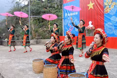 当地民族歌舞表演