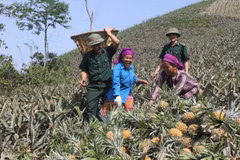 越中边境村屯缔结友好关系 富裕村屯和睦边境