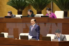 第十四届国会第四次会议：财政部长丁进勇接受国会代表质询