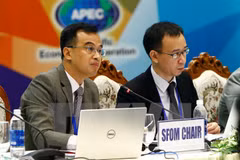 参加 2017年越南APEC财政高官会的代表。