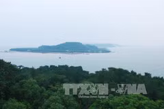 海防市图山郡绕岛发布绕岛（Hòn Dấu）。（图片来源：越通社） 