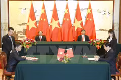 陈大光主席和习近平主席出席越中关于电子商务合作的谅解备忘录签字仪式。