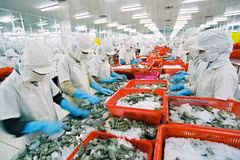 越南虾类对韩国出口增长29.8%