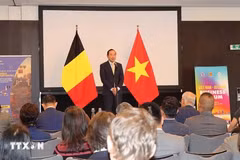 越南驻比利时大使、越南常驻欧盟代表团团长阮文草在论坛上发表讲话。图自越通社