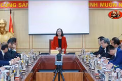 越共中央组织部部长张氏梅会见接任前的驻外大使和总领事
