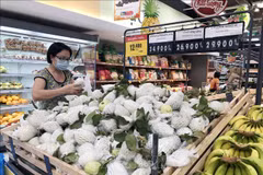 2021年7月份越南社会消费品零售和服务业总额同比下降近20%
