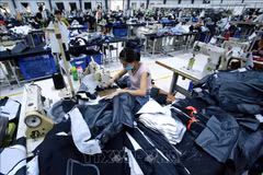 为2021年营业收入不超过2000亿越盾的企业减征企业所得税30%