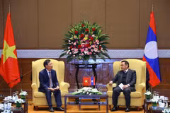 越老友好协会主席陈文髓礼节性拜会老挝国会主席赛宋蓬·丰威汉