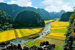 三谷-碧洞之金色