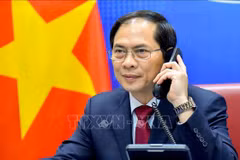 越南外交部部长裴青山与中国国务委员兼外交部部长王毅通电话