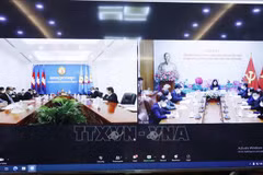 越南共产党中央民运部与柬埔寨人民党中央民运部进行线上会谈
