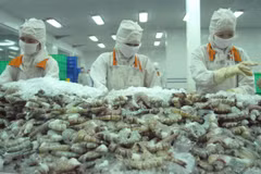 越南虾类对美国出口额猛增
