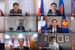 越南共同主持东盟－日本联合合作委员会会议