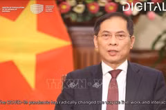越南出席有关数字化外交的国会会议