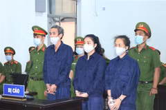 庆和省：对“传谣破坏国家”的3名分子判处5至9年有期徒刑