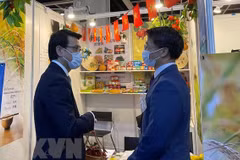 后疫情时期越南与中国香港合作潜力巨大