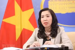 越南外交部发言人黎氏秋姮：越南呼吁各方尽快恢复中东和平进程