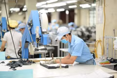 雀巢公司领导：越南展现出强劲吸引力