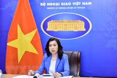 外交部发言人：越南始终把促进性别平等放在优先位置