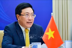 东盟外长非正式会议：越南与各国携手击退疫情