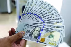 5月12日上午越盾对美元汇率中间价继续下调4越盾