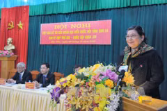 国会常务副主席丛氏放发表讲话（图片来源：越通社）