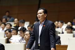 国会代表发表意见（图片来源：越通社）
