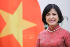 黎氏雪梅大使：范明政总理出席 WEF 2024 展现出越南在国际舞台上的作用、地位的良机